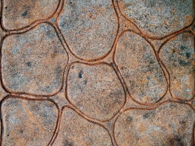 Stamped Concrete in Fall